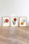 Wallity Huhu215 - Set de 3 Pinturas Decorativas en MDF de 35 x 50 cm